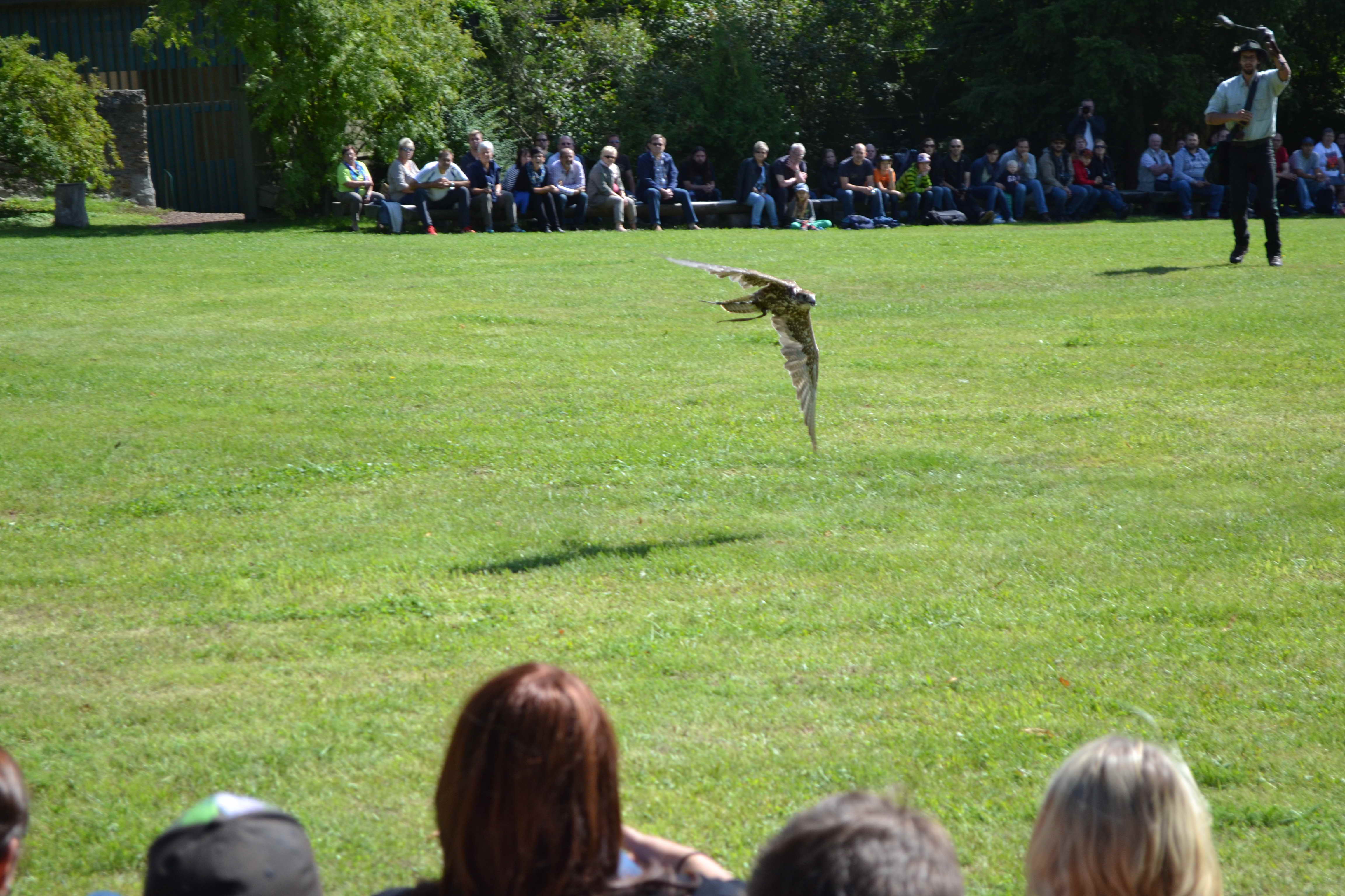 dorfausflug_jahrings_2014_46.jpg