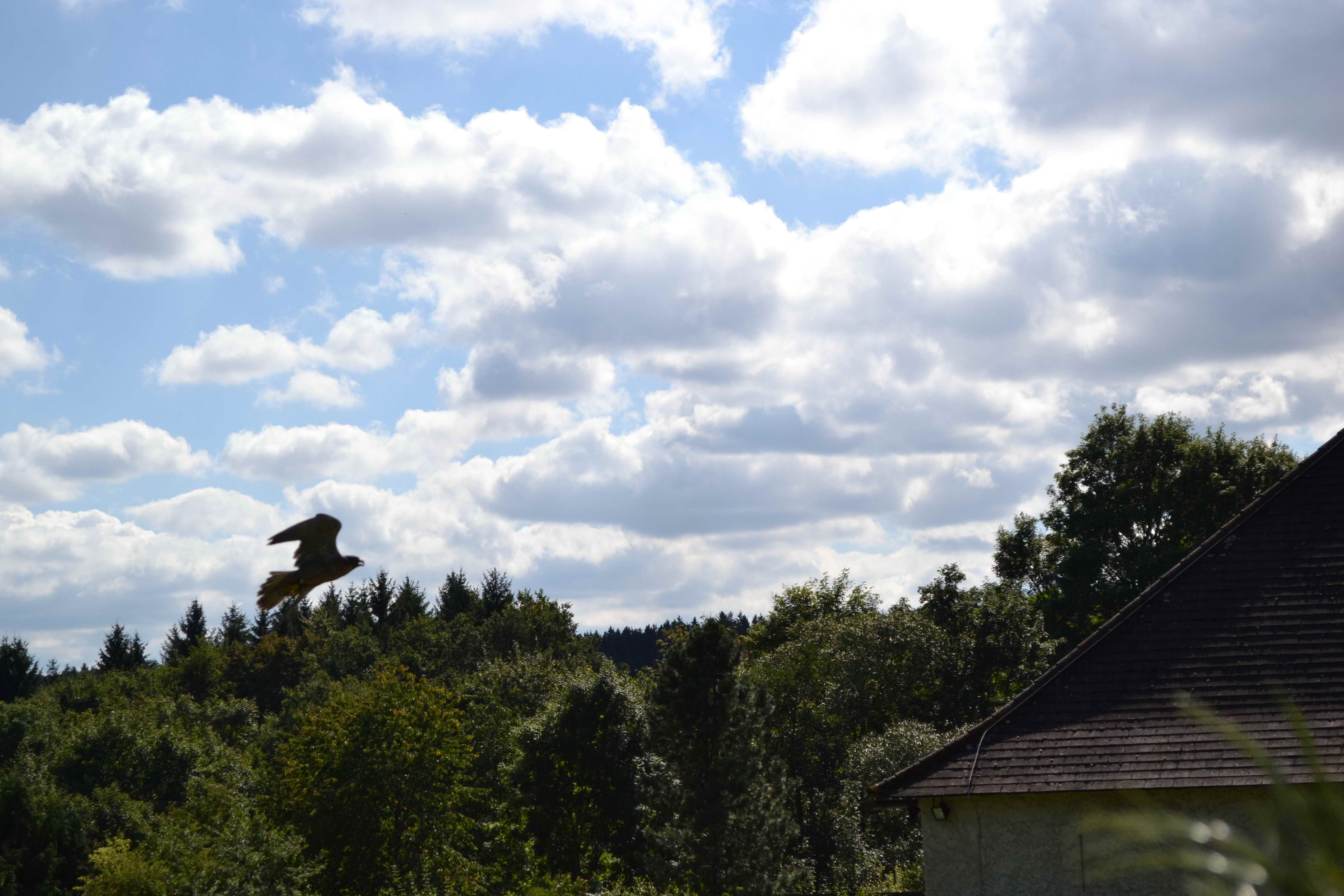 dorfausflug_jahrings_2014_53.jpg