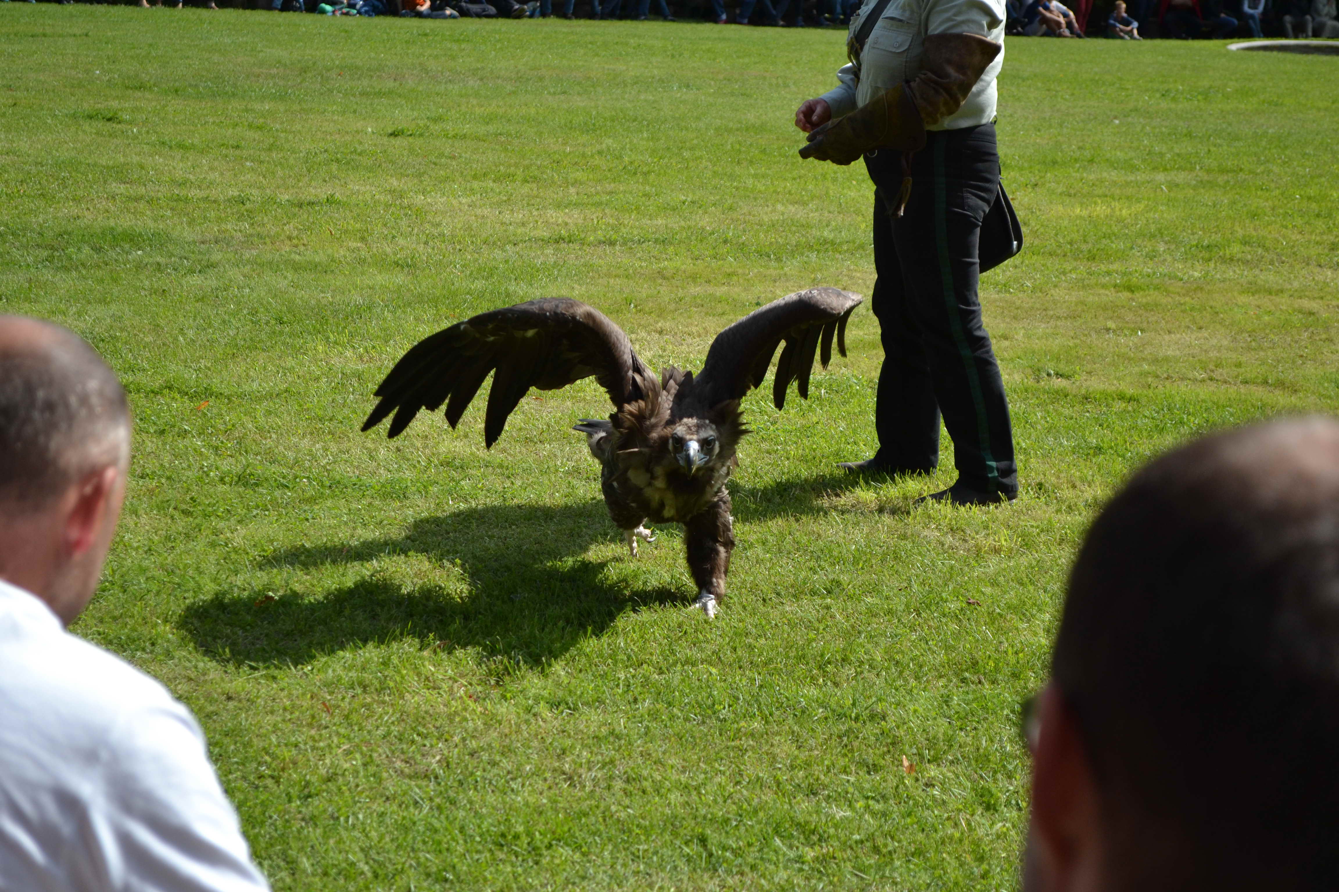 dorfausflug_jahrings_2014_67.jpg