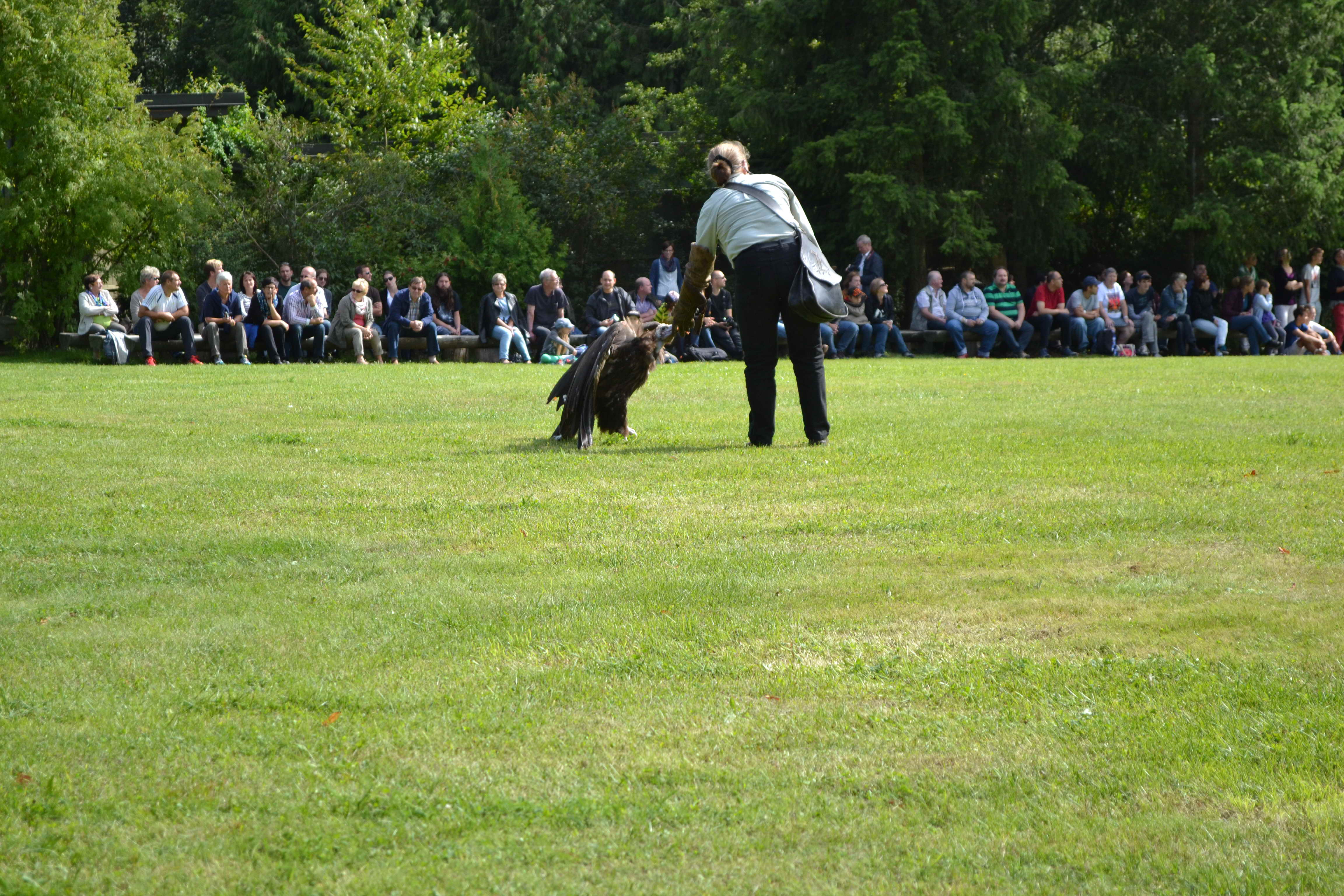 dorfausflug_jahrings_2014_70.jpg