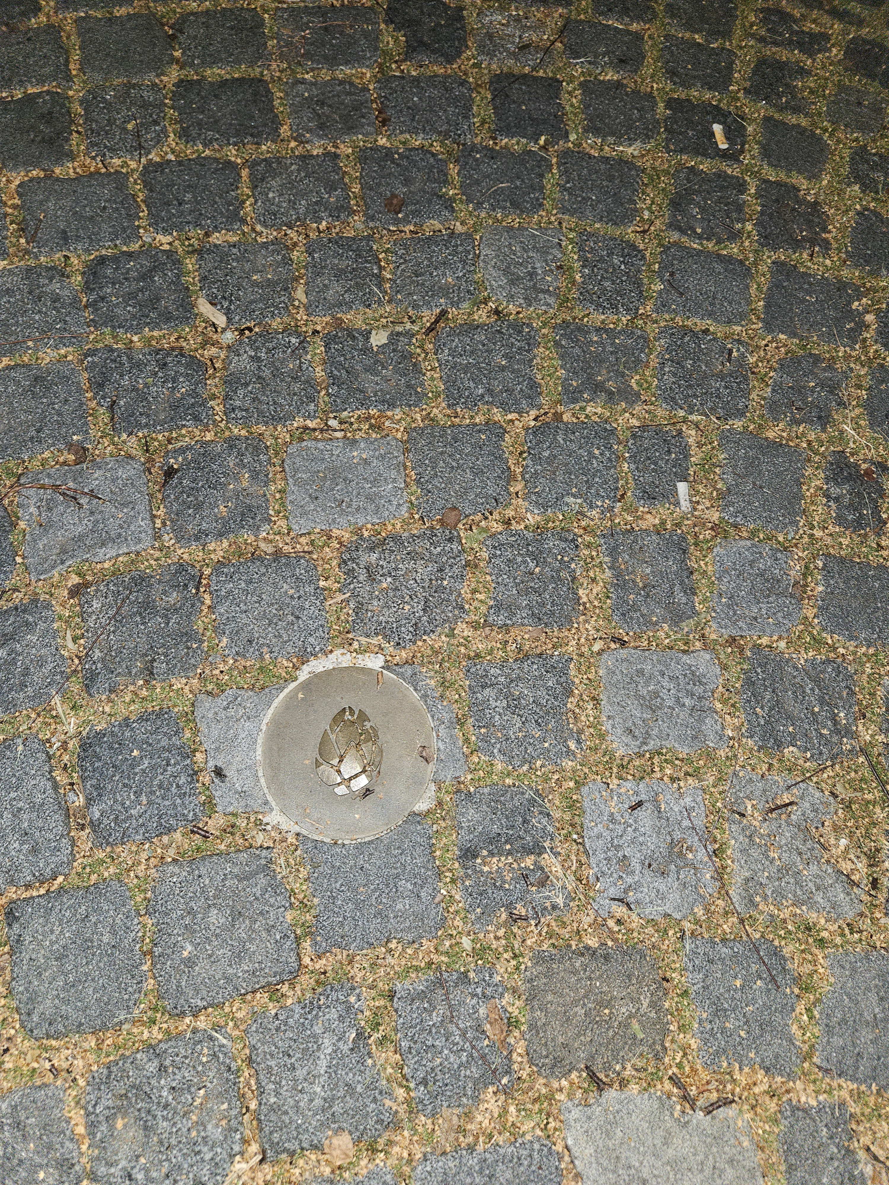 nachtwaechterfuehrung_weitra_2024_18.jpg