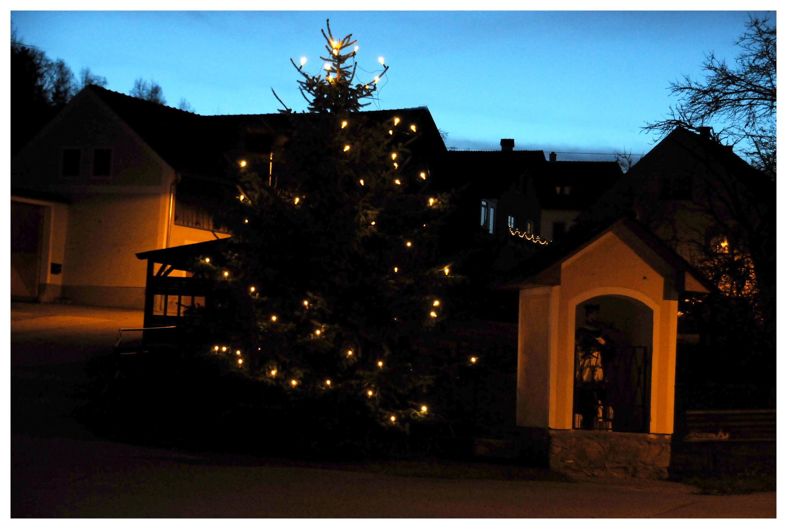 christbaum_2009_37.jpg