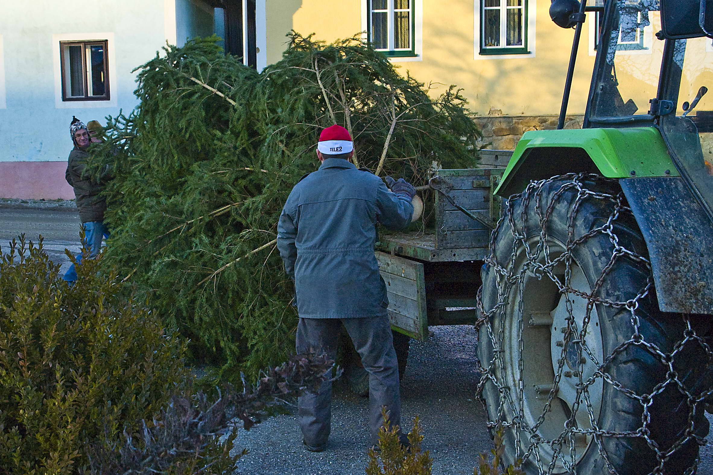 christbaum_2010_10.jpg