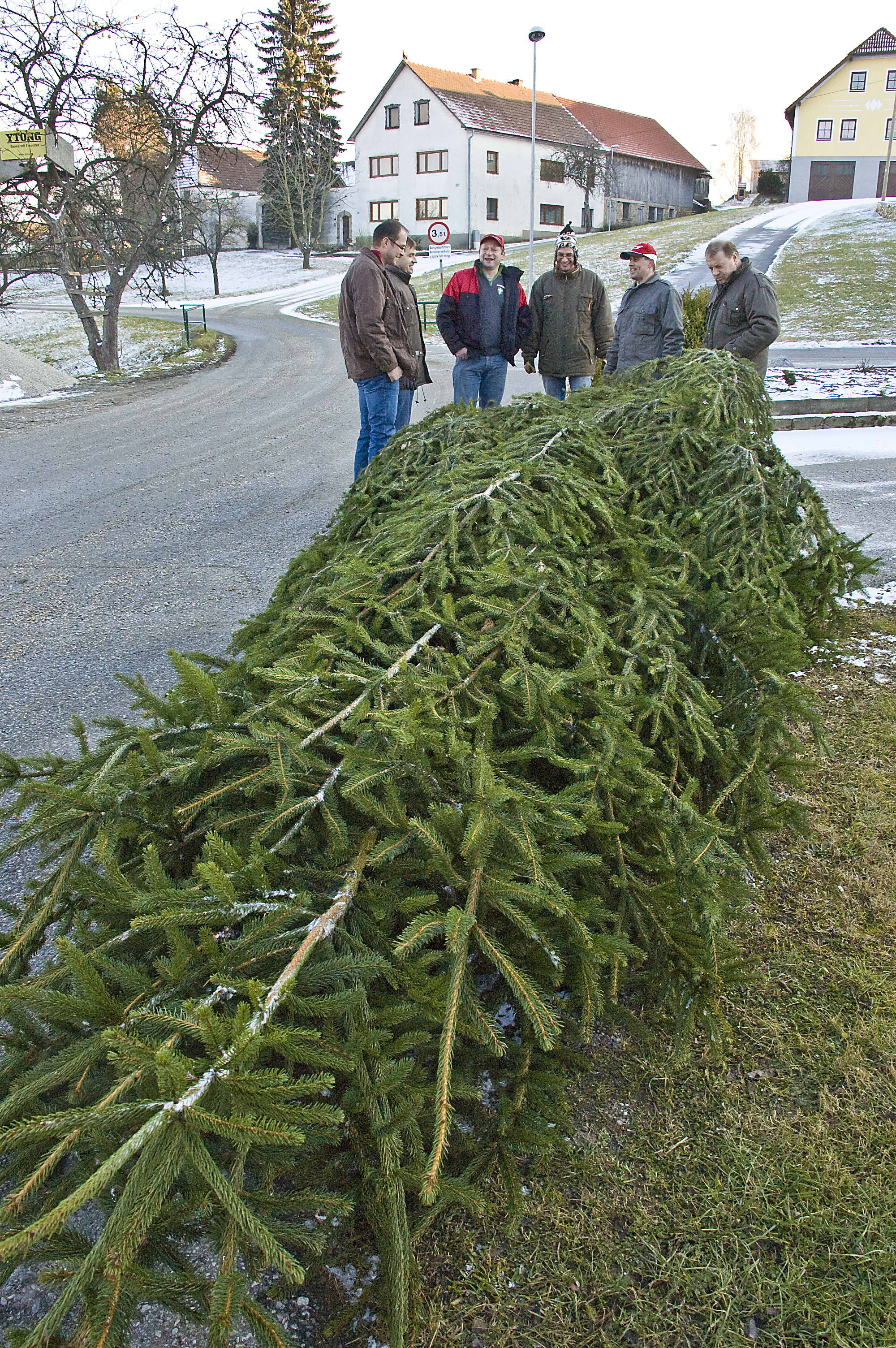 christbaum_2010_11.jpg