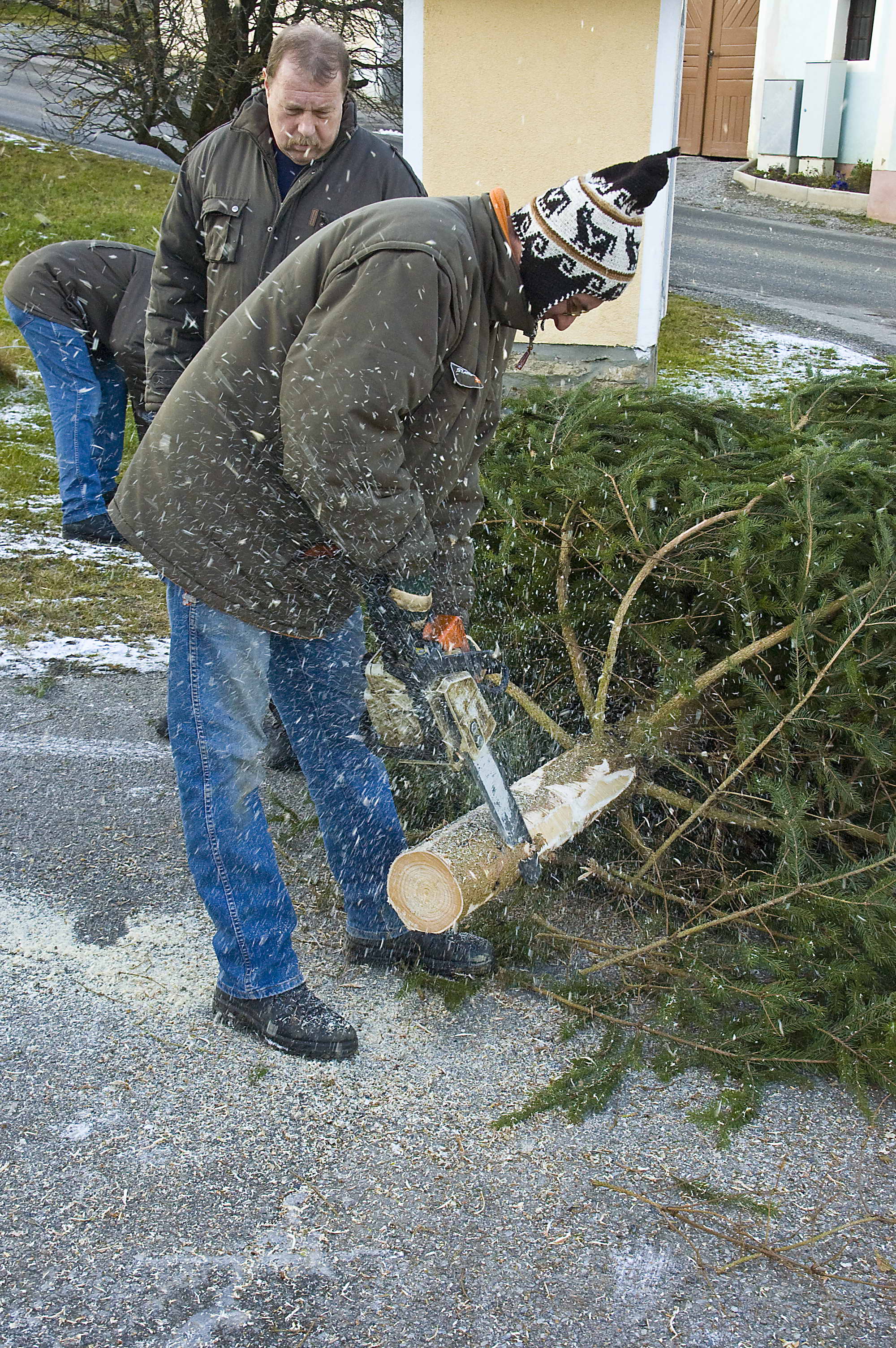 christbaum_2010_12.jpg