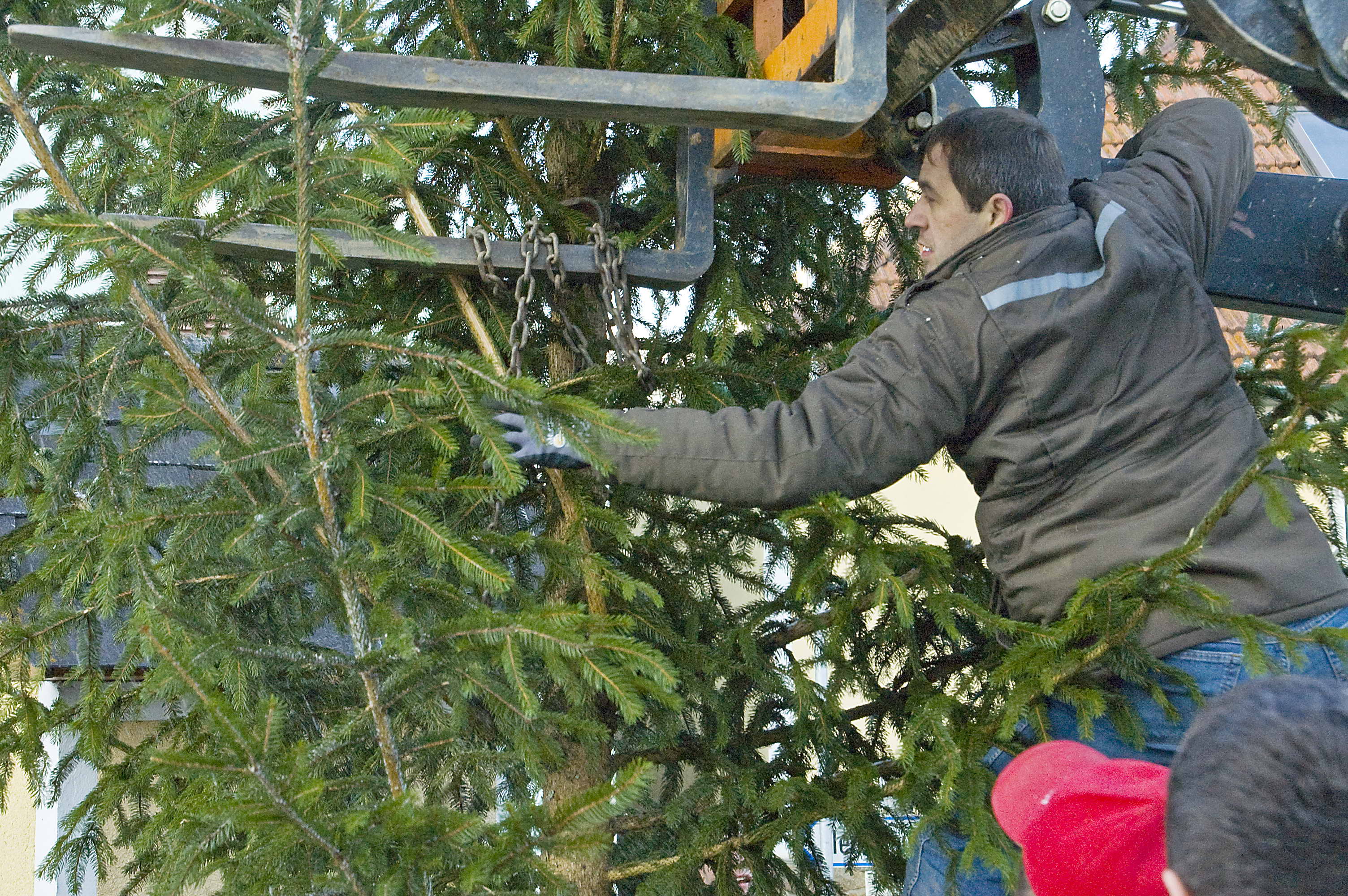 christbaum_2010_19.jpg