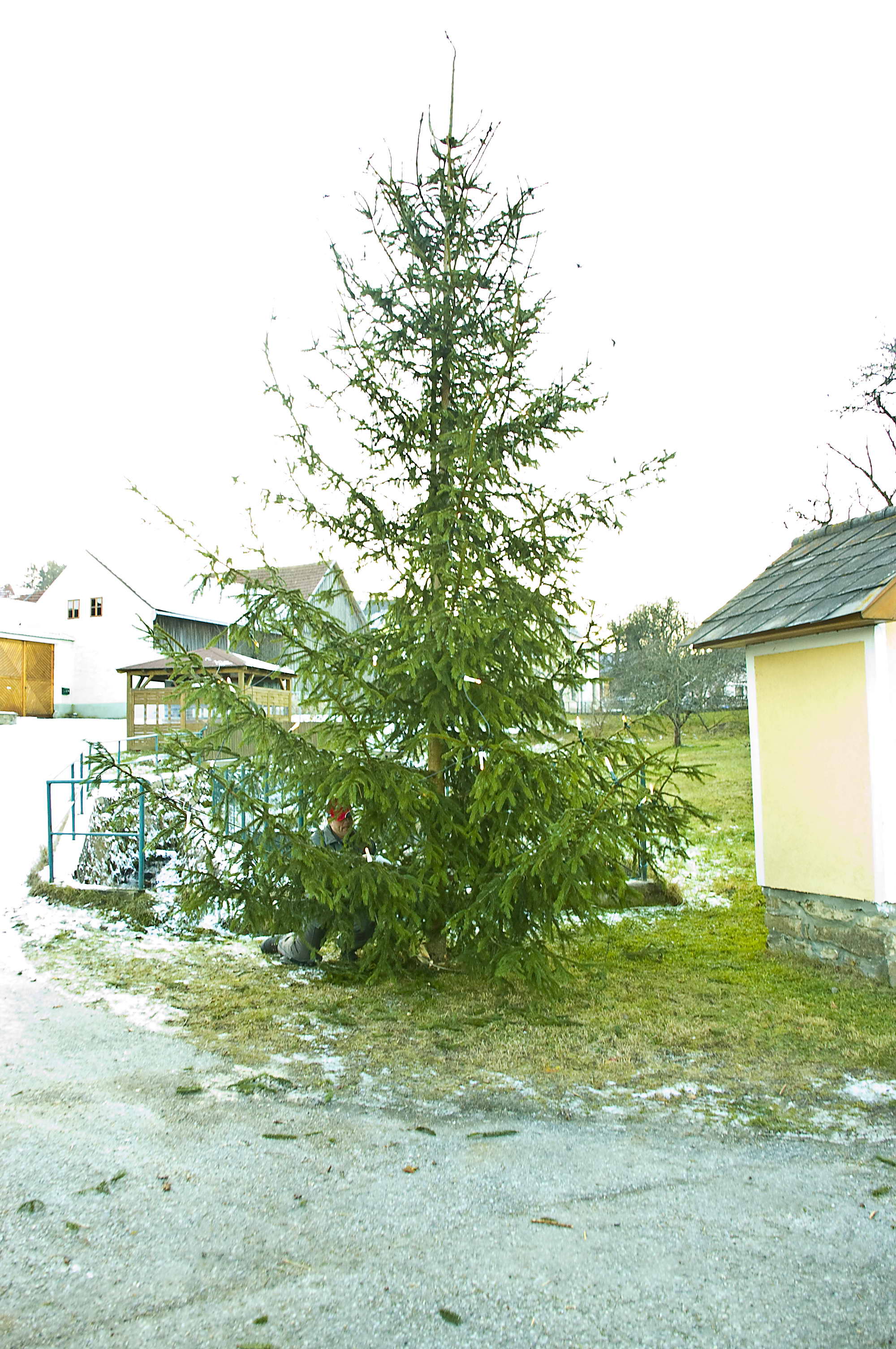 christbaum_2010_27.jpg