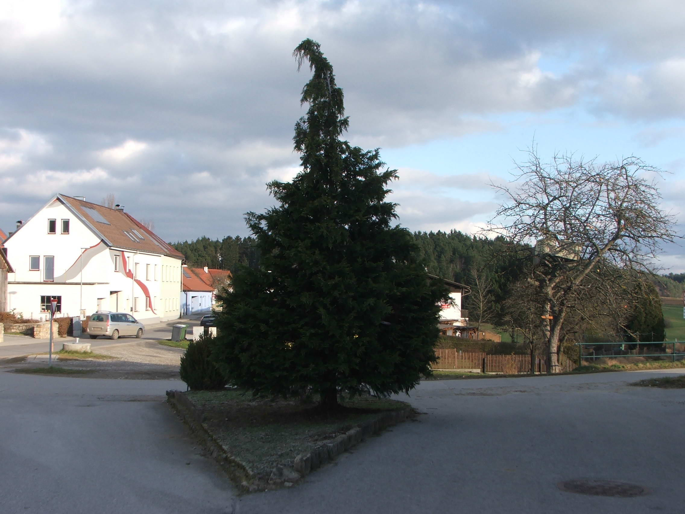 christbaum_2012_01.jpg