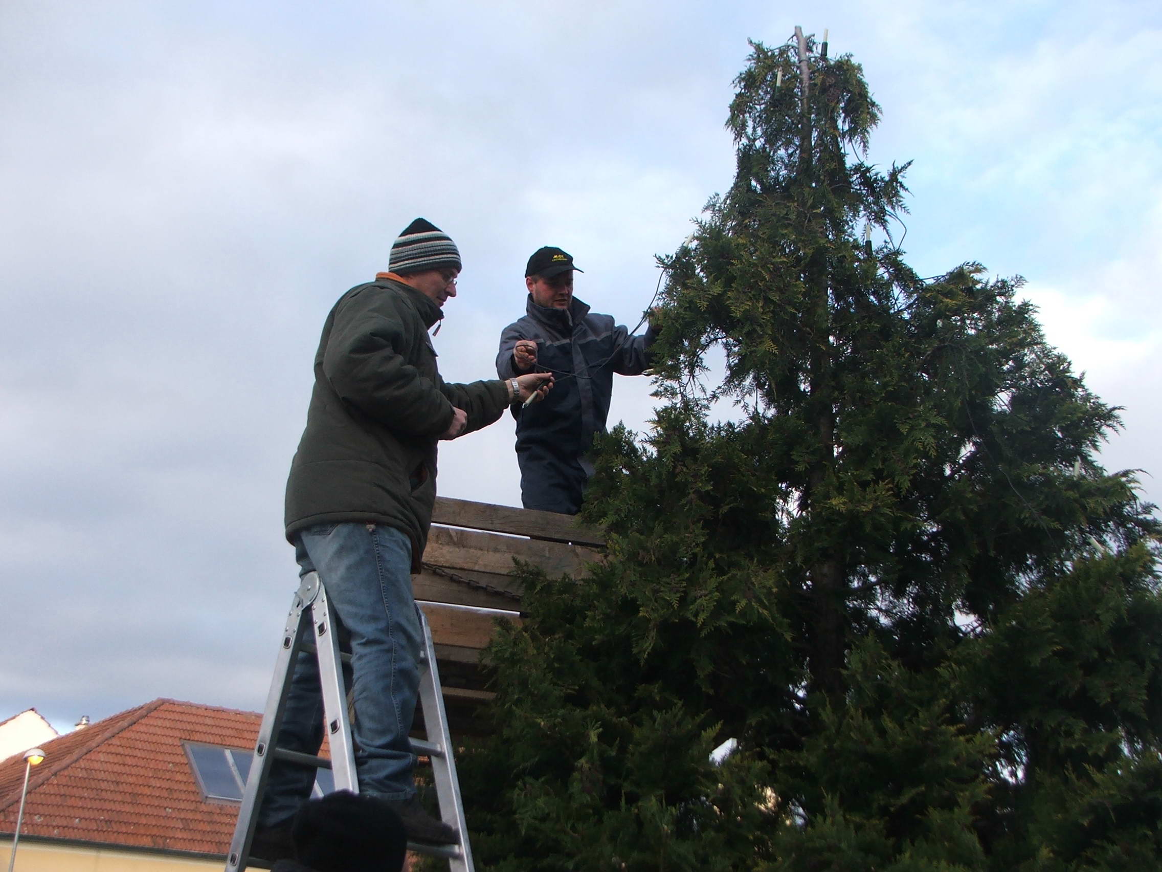 christbaum_2012_06.jpg