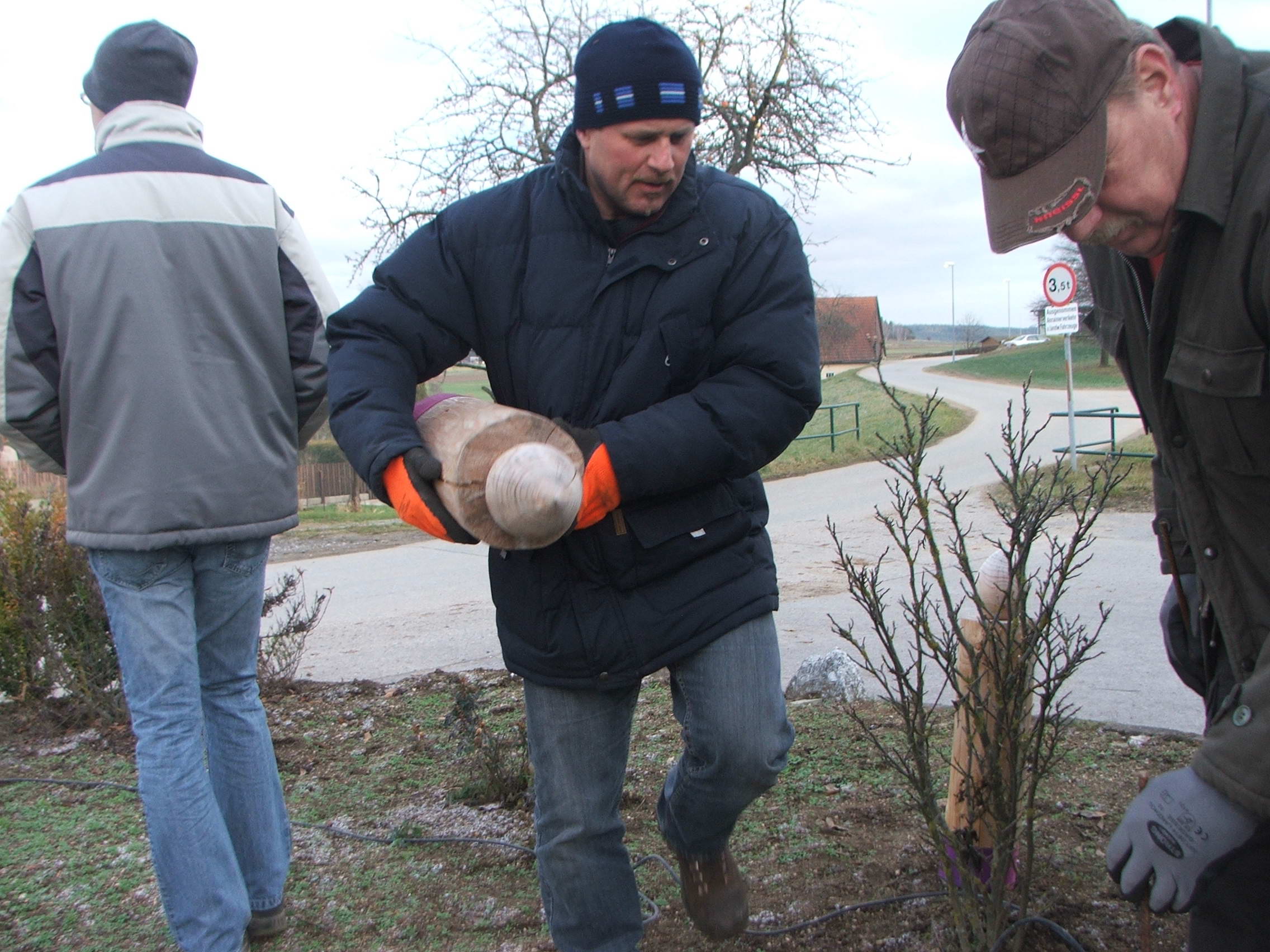 christbaum_2012_08.jpg