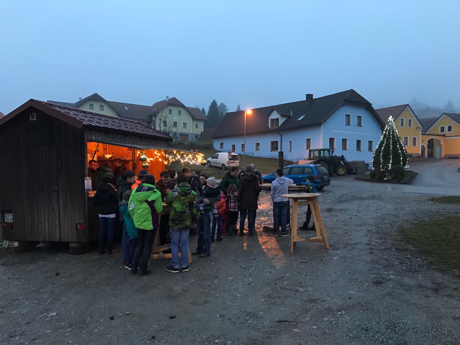 christbaum_beleuchten_2016_2.jpg