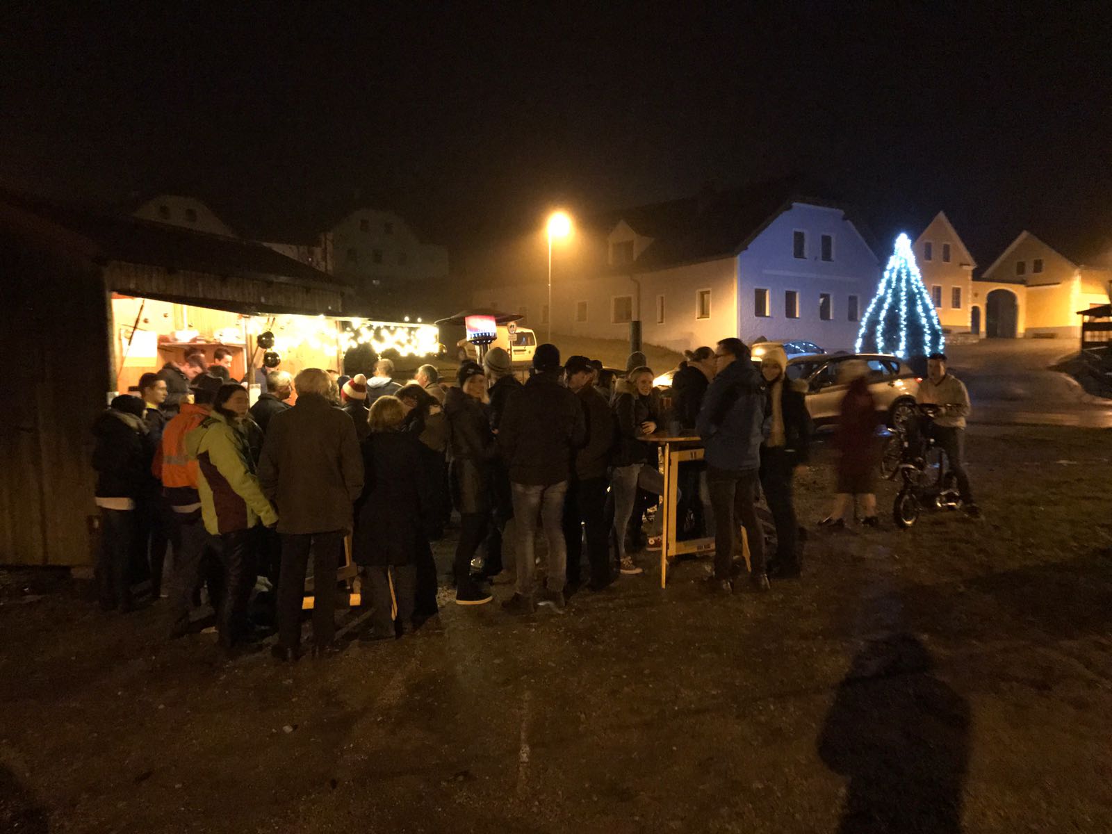 christbaum_beleuchten_2016_4.jpg
