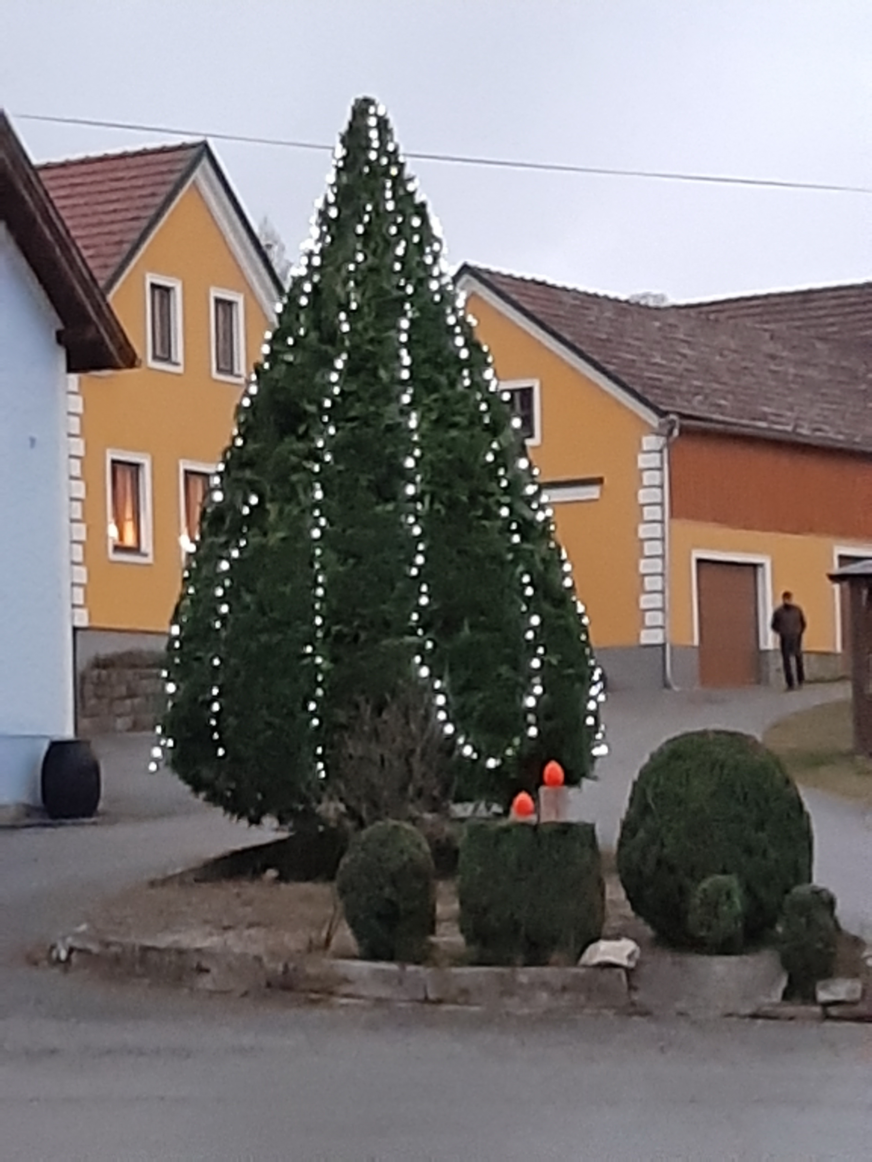 christbaum_2019_2.jpg