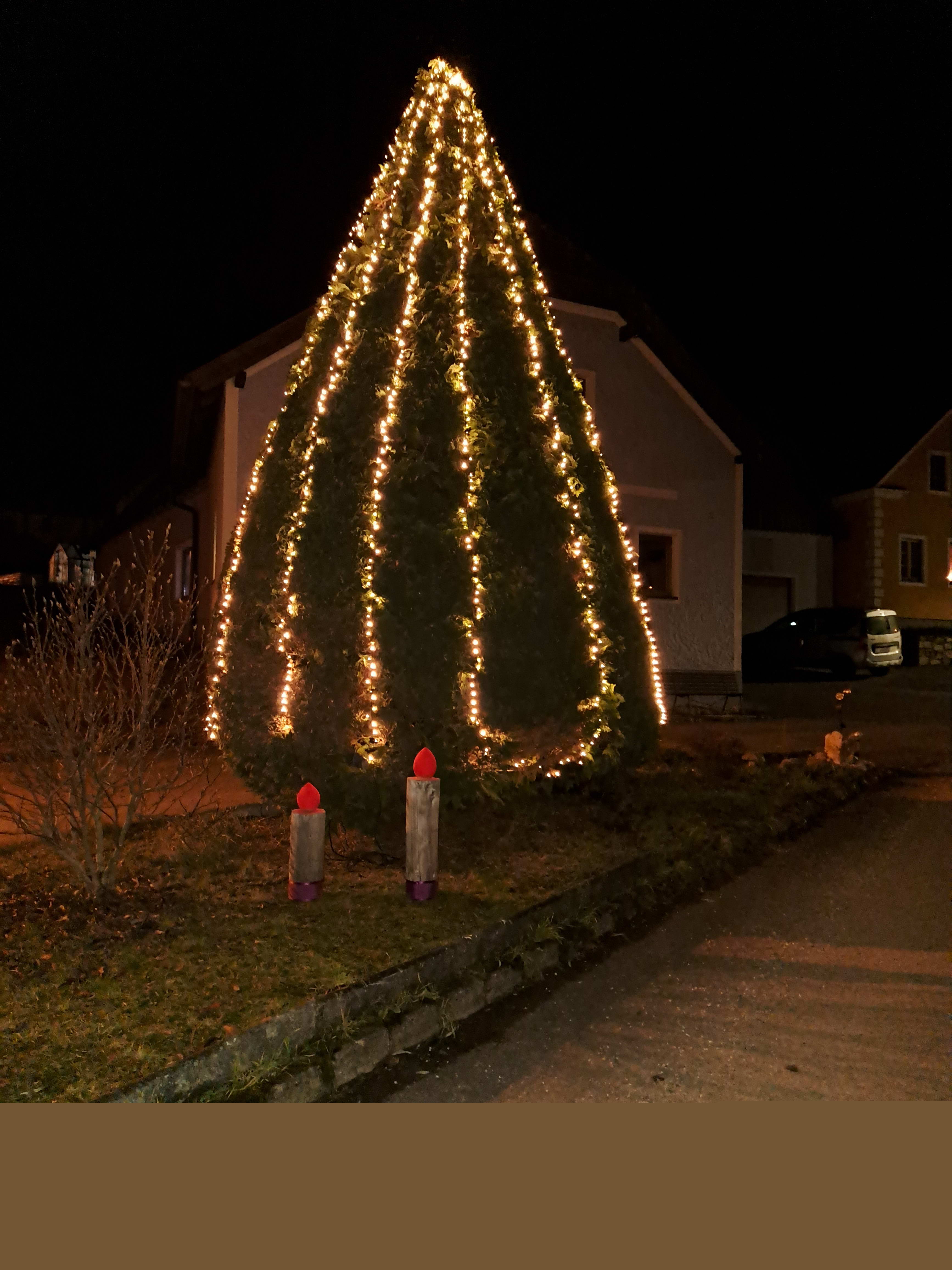 christbaum_2024_3.jpg