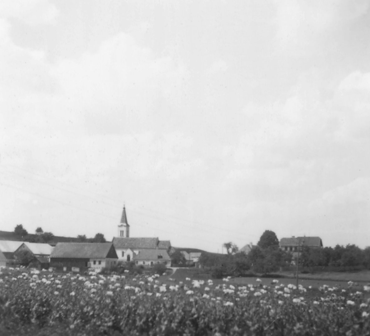 jahrings_sommer_1954.jpg