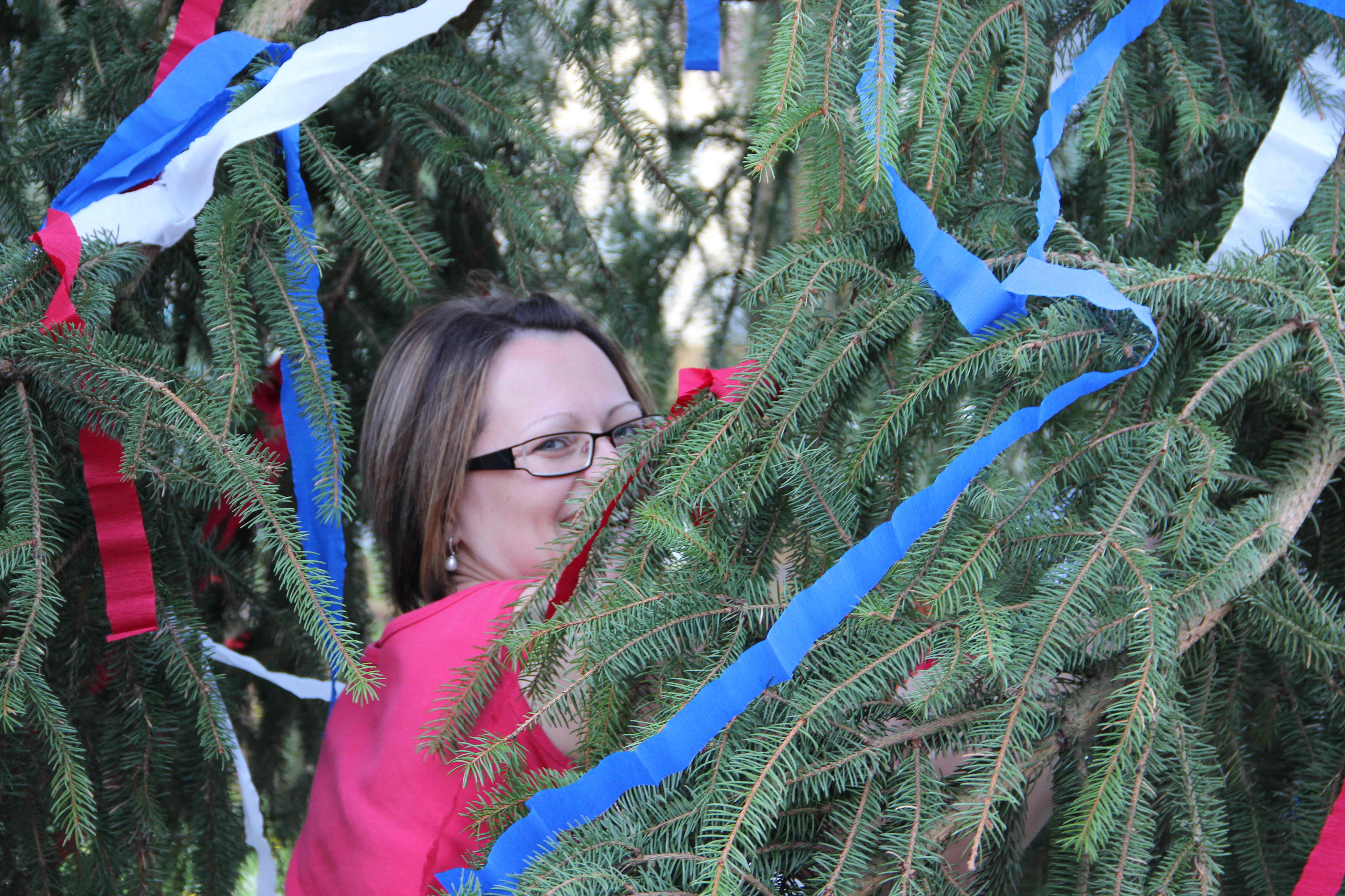 maibaum_2012_04.jpg