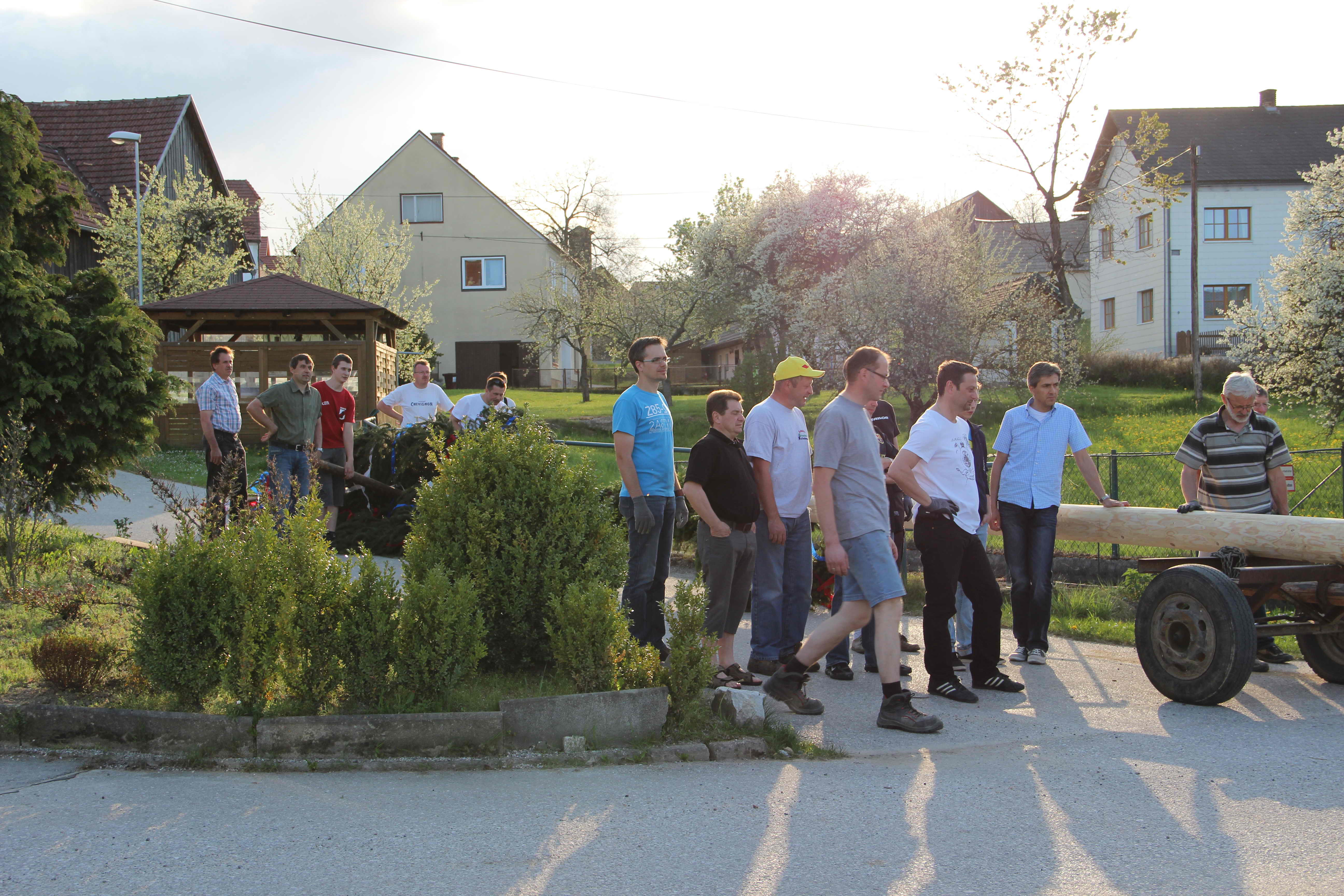 maibaum_2012_12.jpg