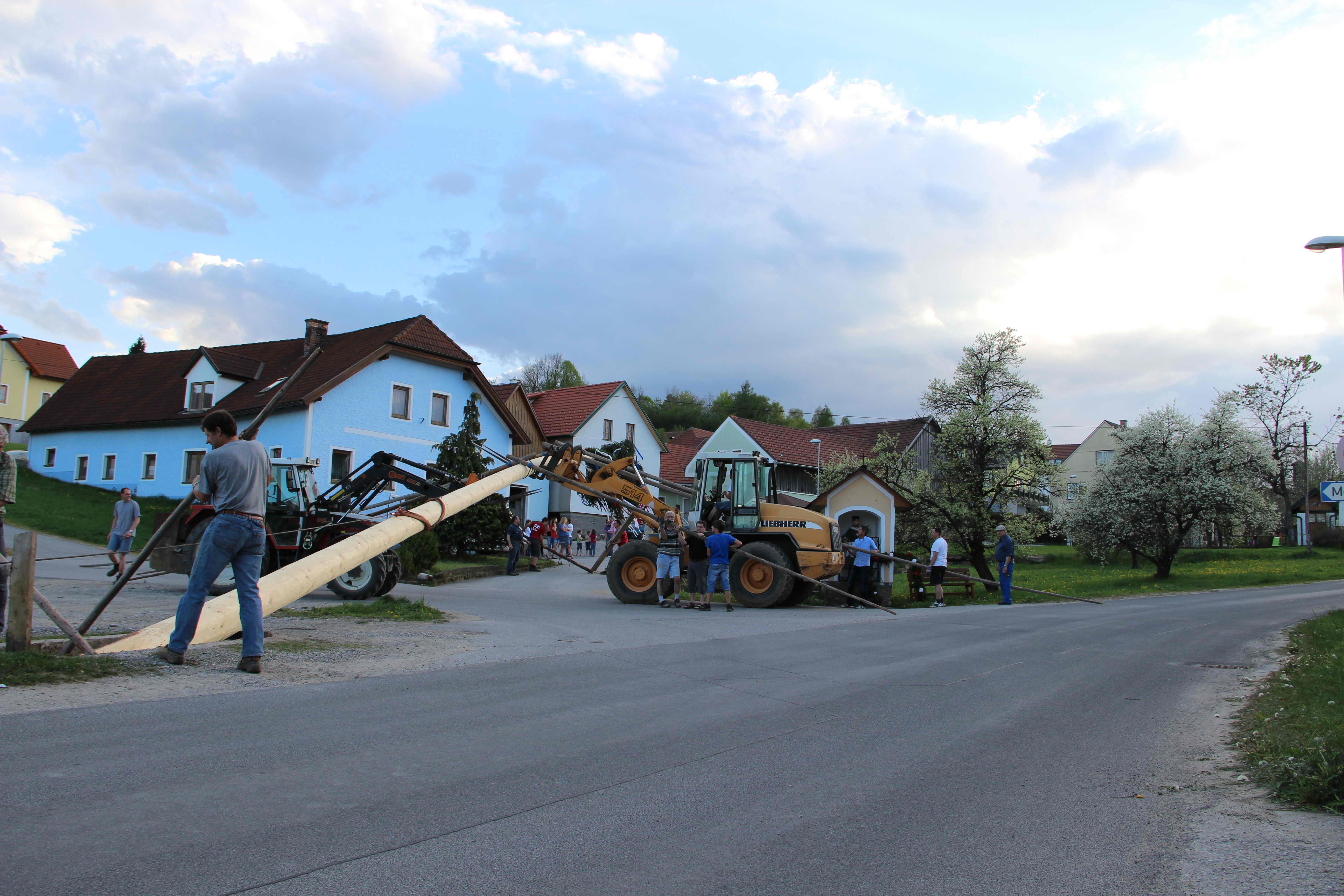 maibaum_2012_14.jpg