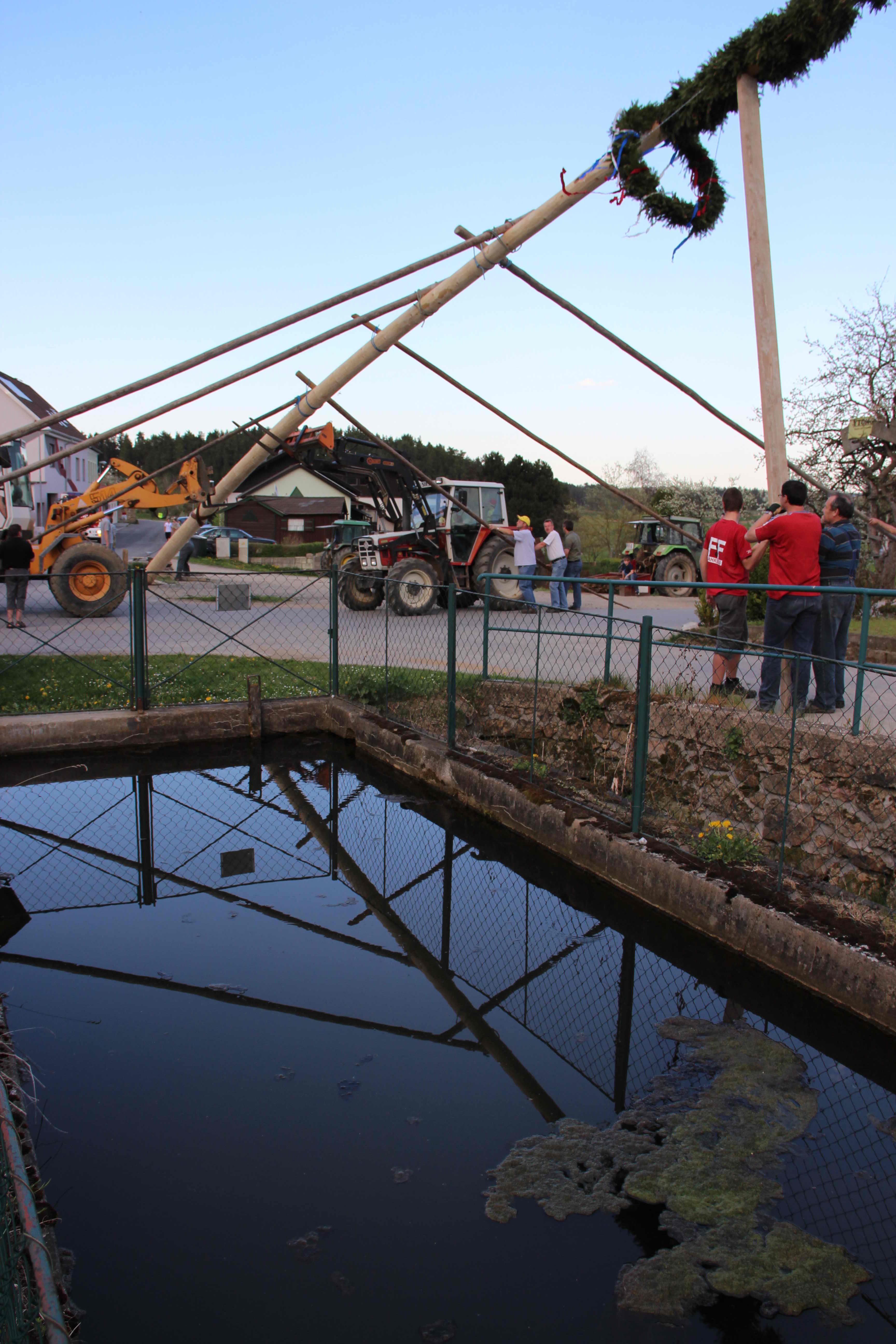 maibaum_2012_16.jpg