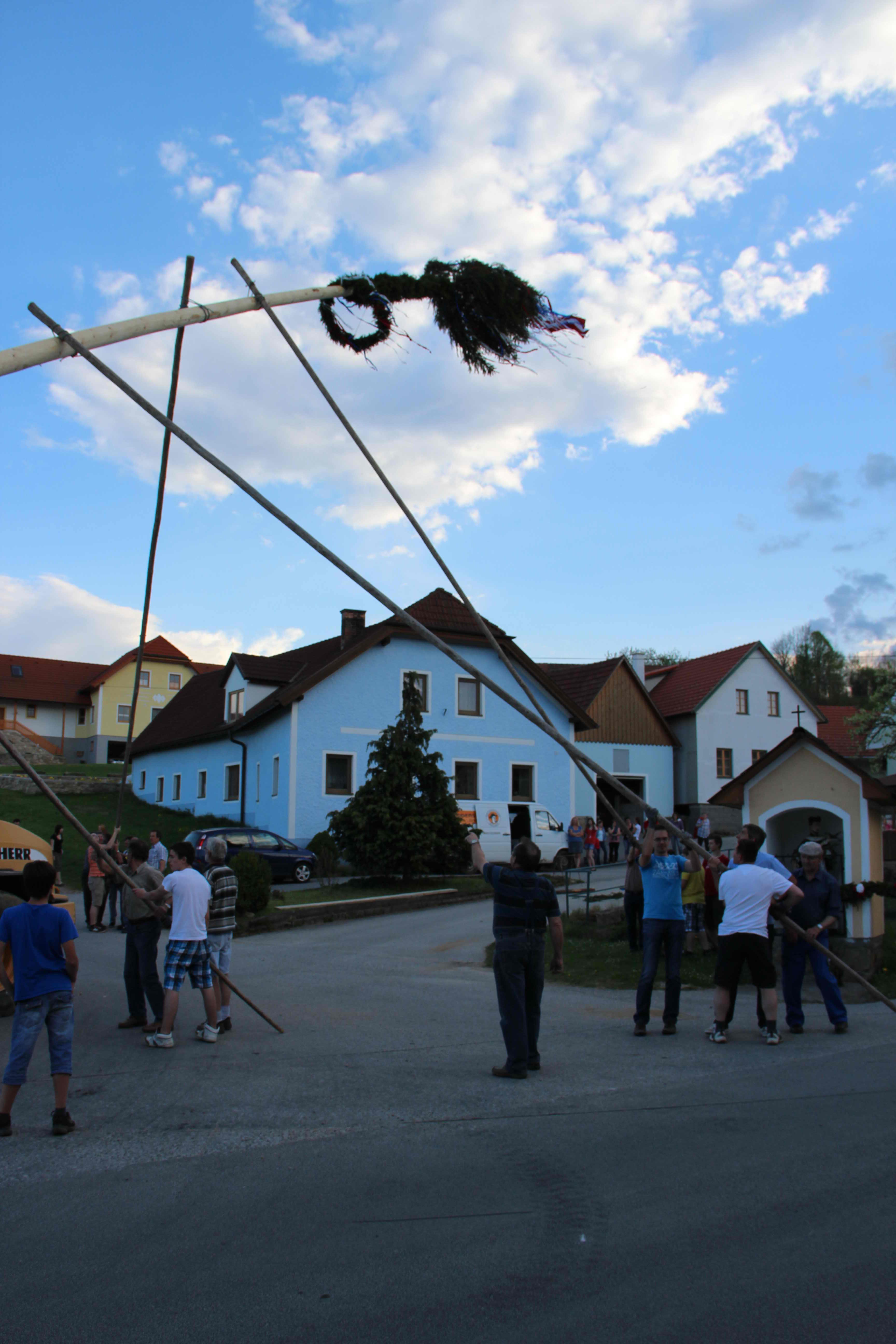 maibaum_2012_21.jpg