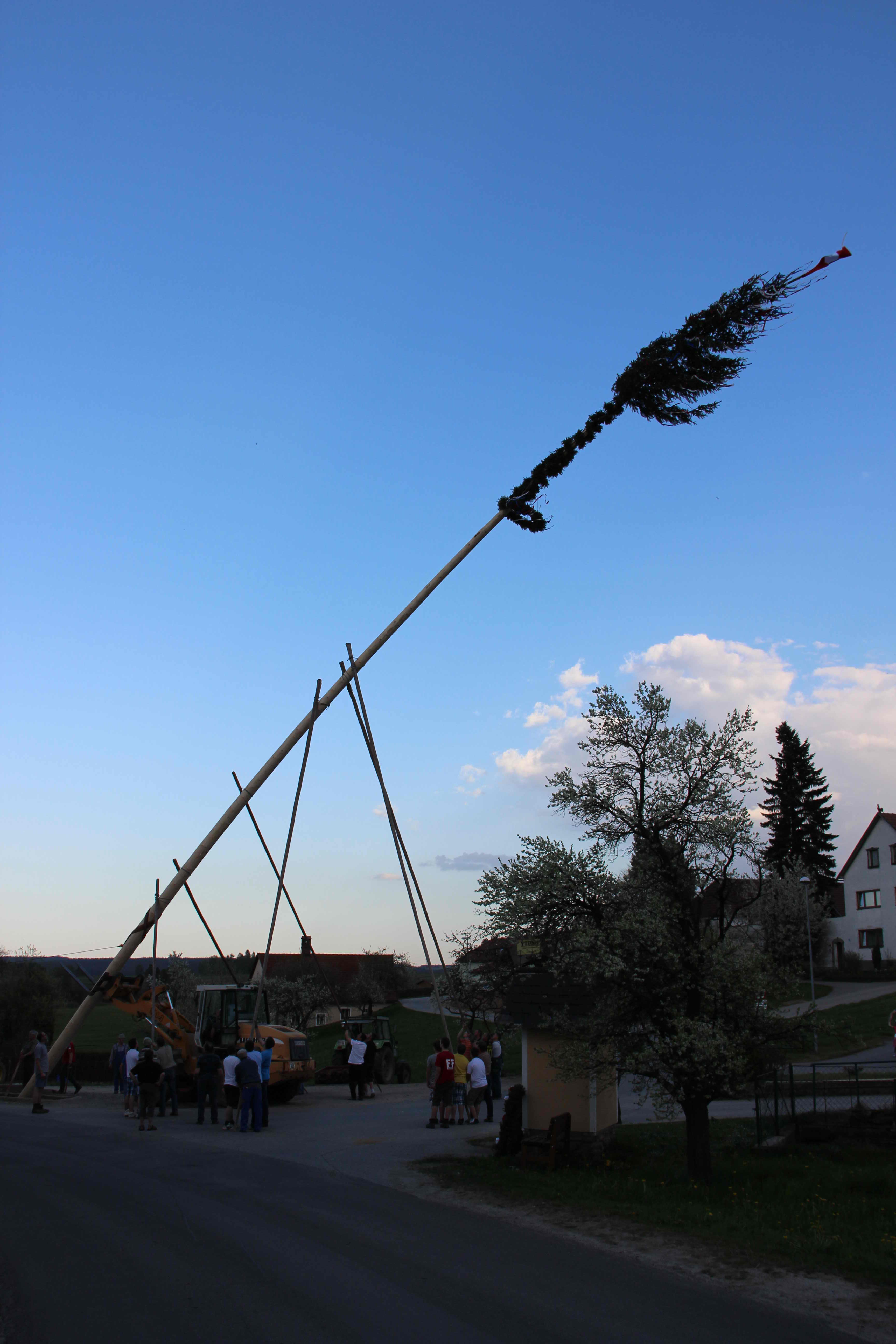 maibaum_2012_22.jpg