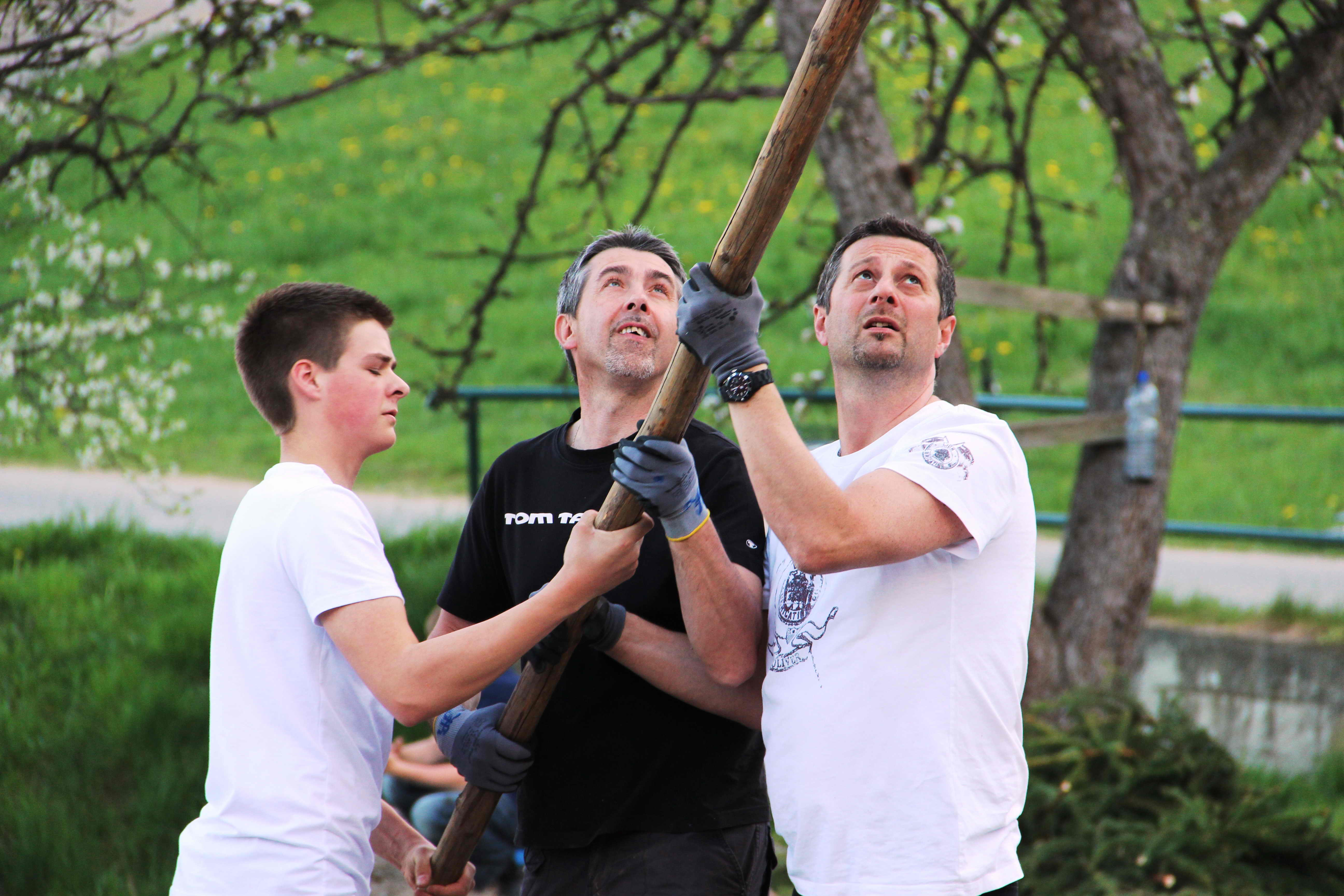 maibaum_2012_26.jpg