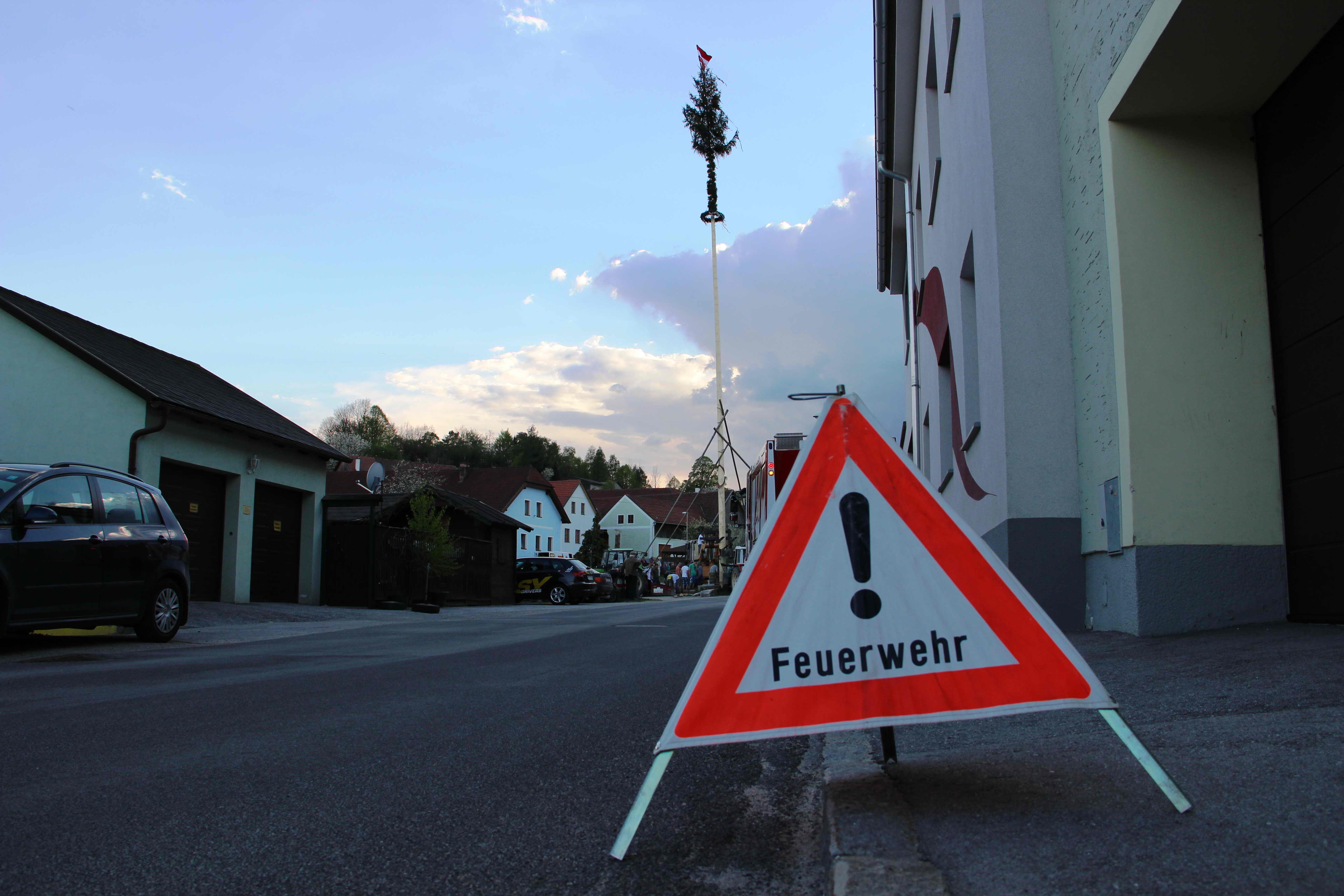 maibaum_2012_30.jpg