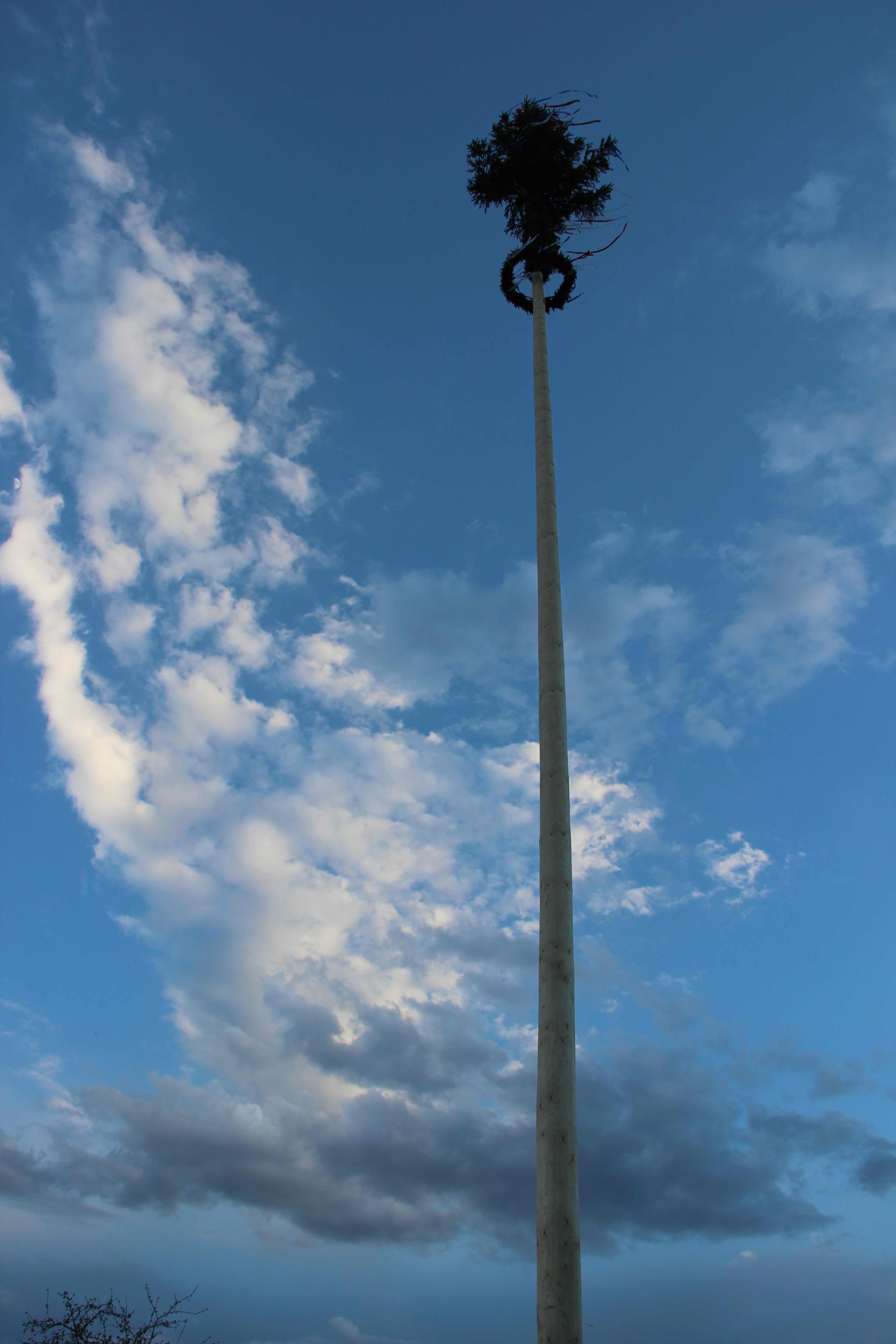 maibaum_2012_49.jpg