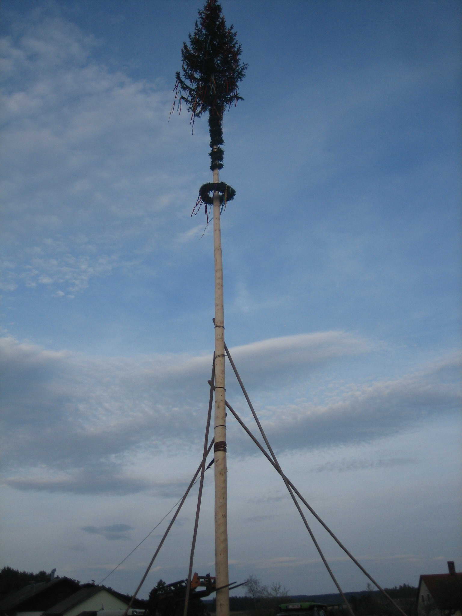 maibaumsetzen_2010_15.jpg