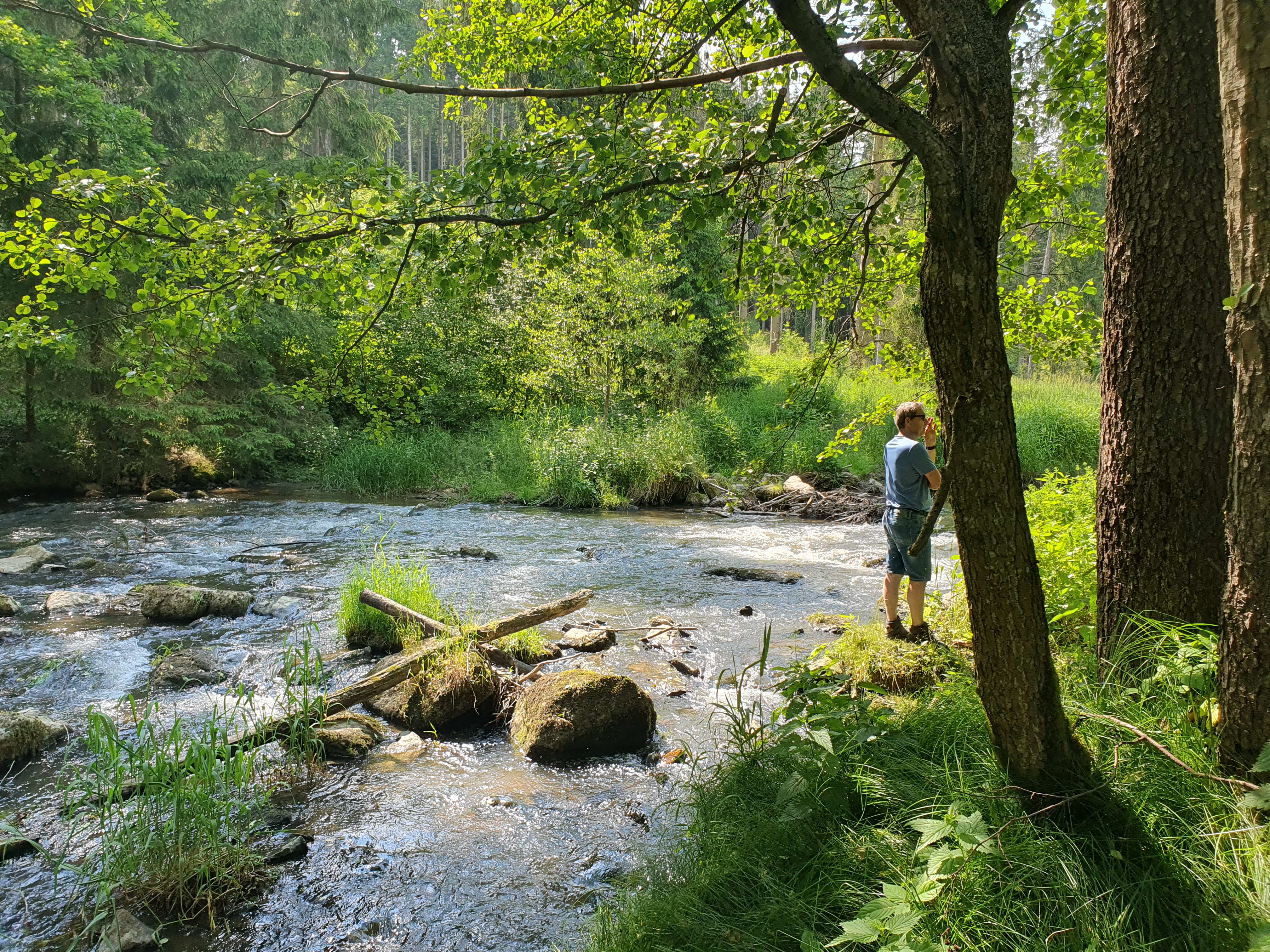 muehlenwanderung_2023_31.jpg