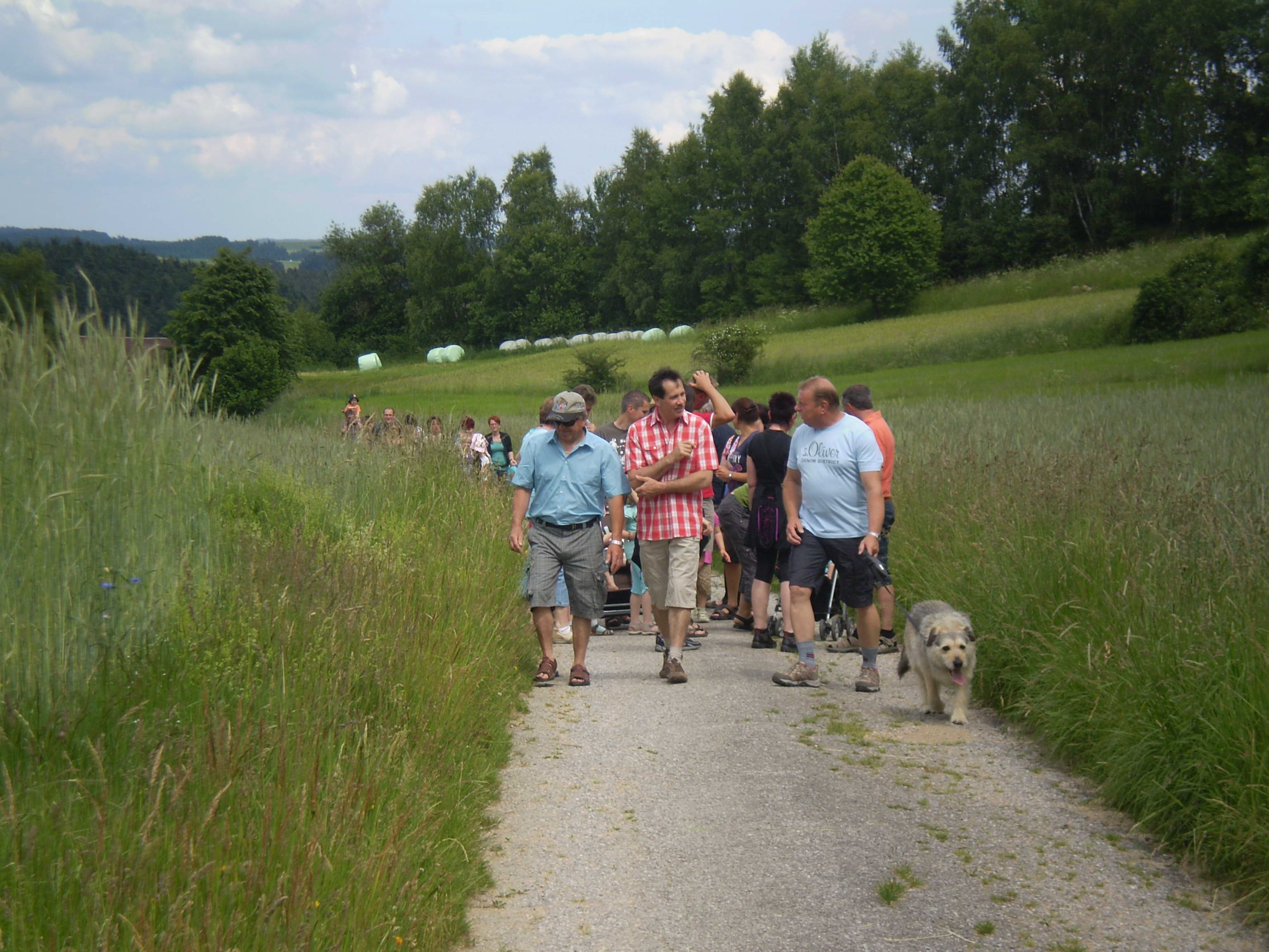 pfingstwanderung_2011_07.jpg