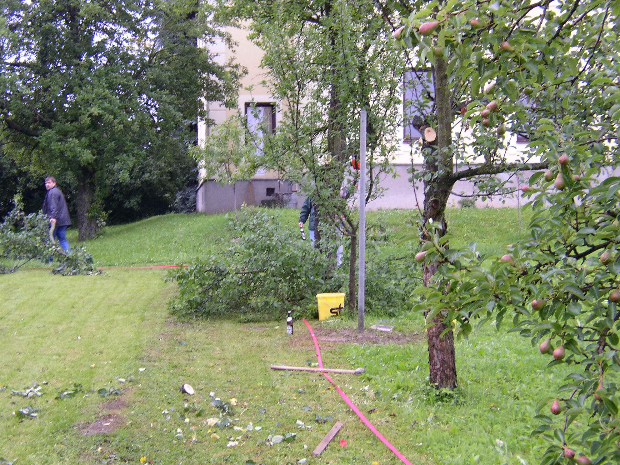 Jahrings_Schulgarten_080705_17.jpg