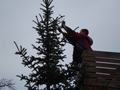 christbaum_2008_3.jpg