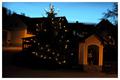 christbaum_2009_37.jpg