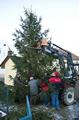 christbaum_2010_18.jpg