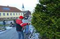 christbaum_2013_06.jpg