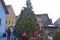 christbaum_2013_31.jpg