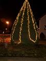 christbaum_2024_2.jpg