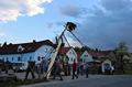 maibaum_2012_19.jpg