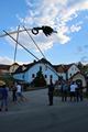 maibaum_2012_21.jpg